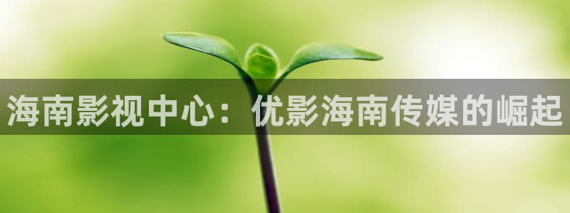 电影天堂 误杀