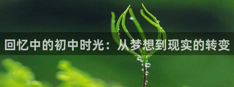 电影天堂+高清