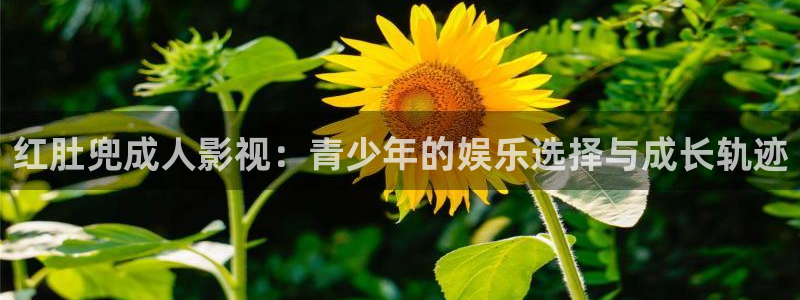 大空头电影天堂
